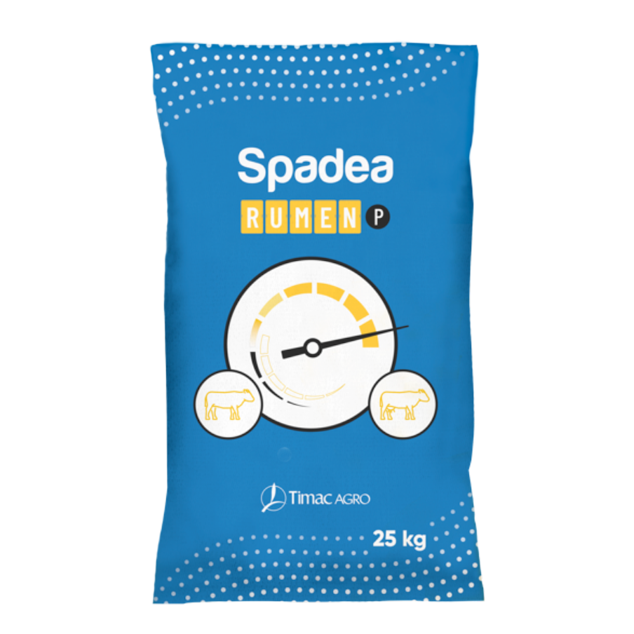 SPADEA RUMEN P