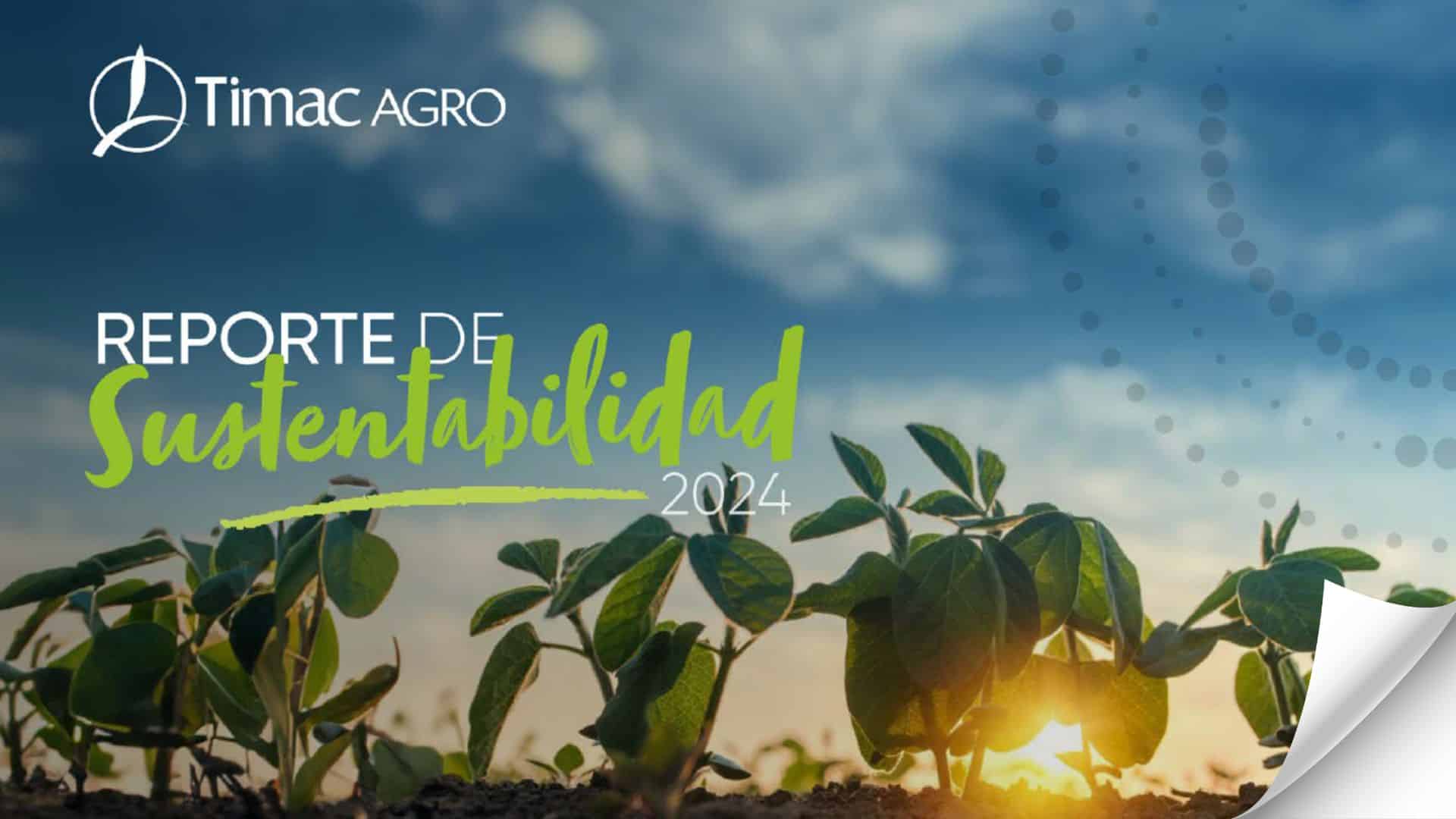 diseño sin título