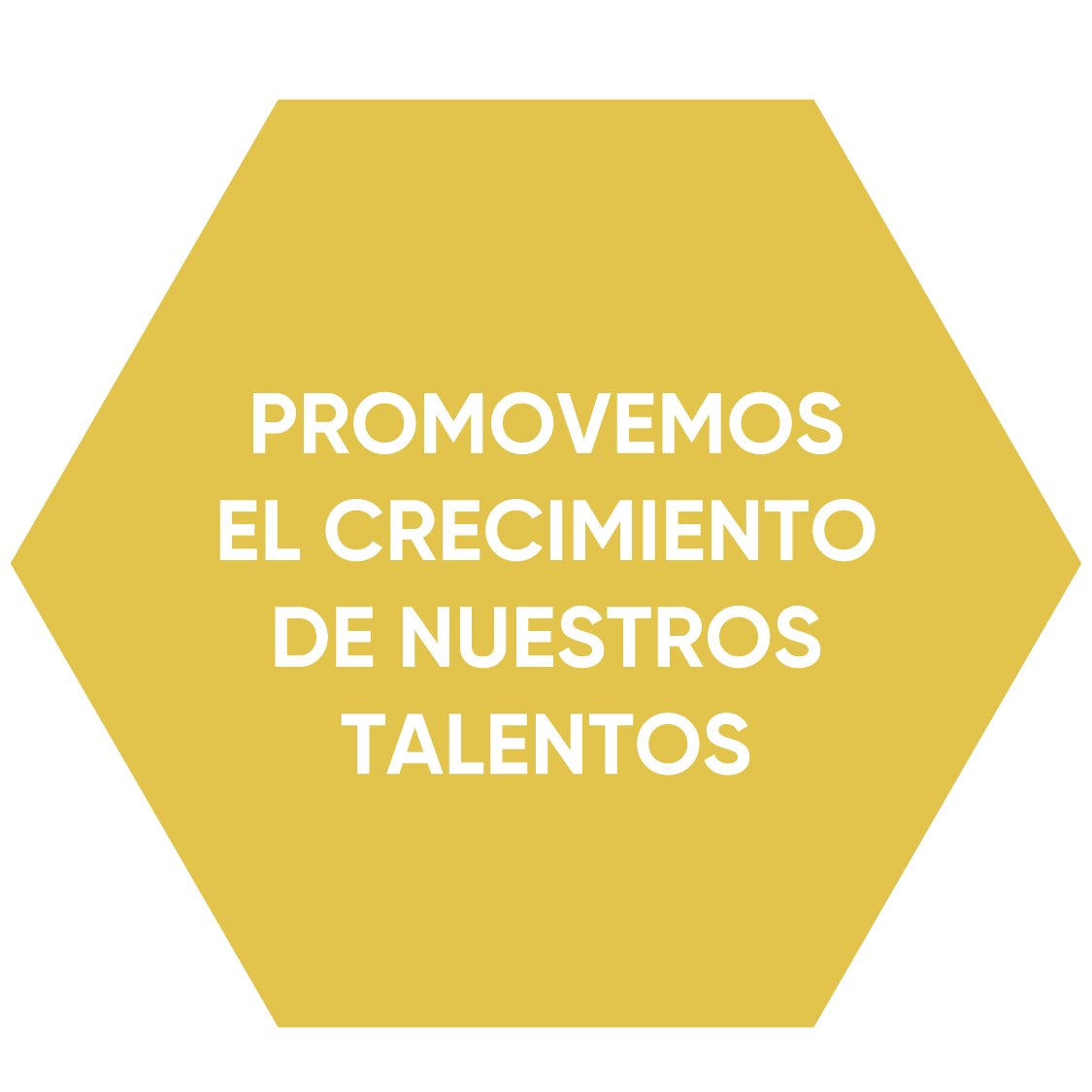 SELLOS WEB TIMAC-05