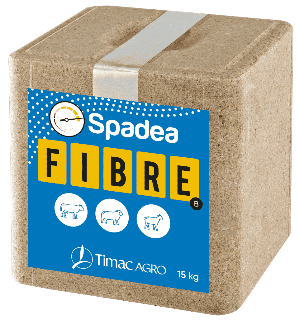 SPADEA FIBRE B