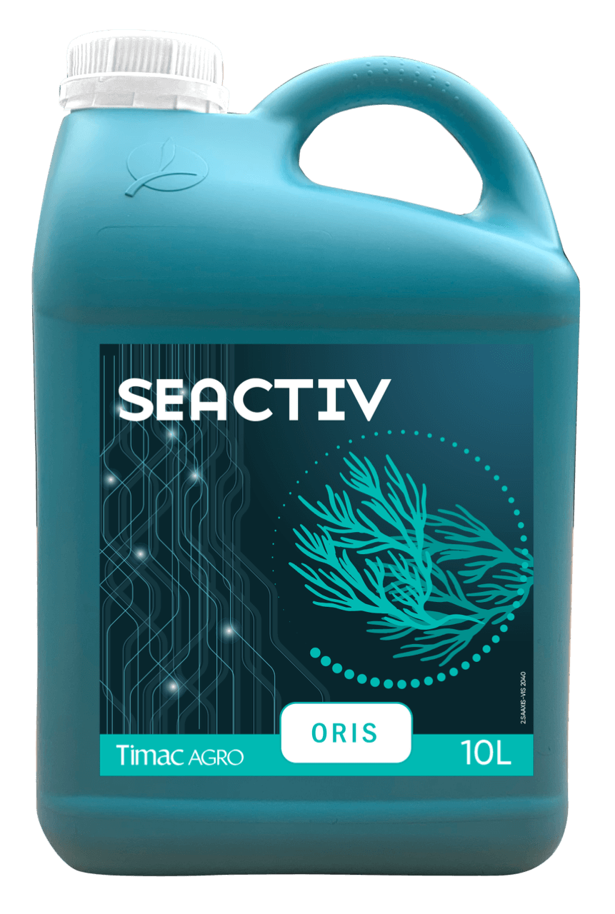 SEACTIV ORIS