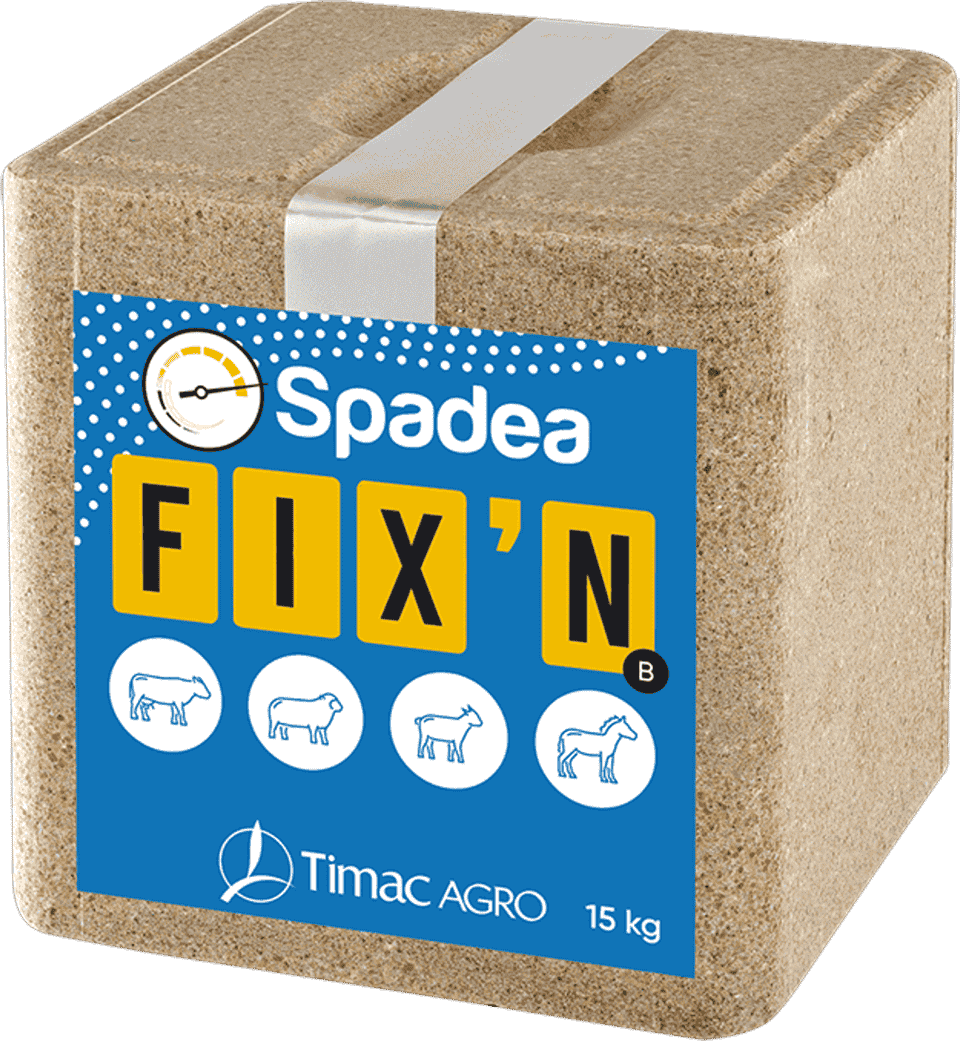 SPADEA FIX N B