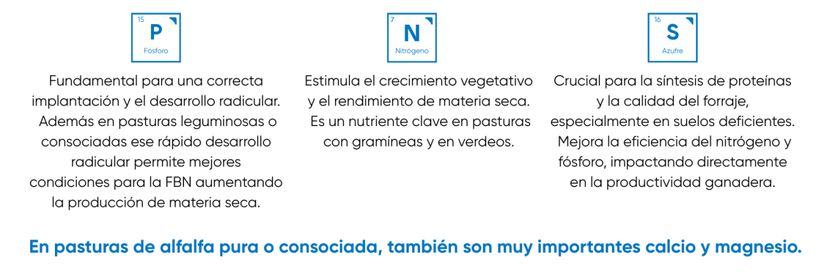 nitrÓgeno (n) estimula el crecimiento vegetativo y el rendimiento de materia seca. es un nutriente clave en pasturas con gramíneas y en verdeos.