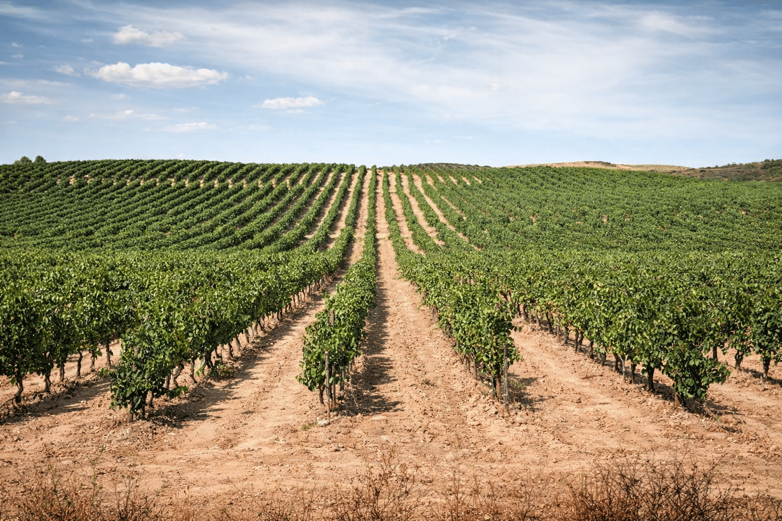 chatgpt image 4 mar 2026, 17 16 10